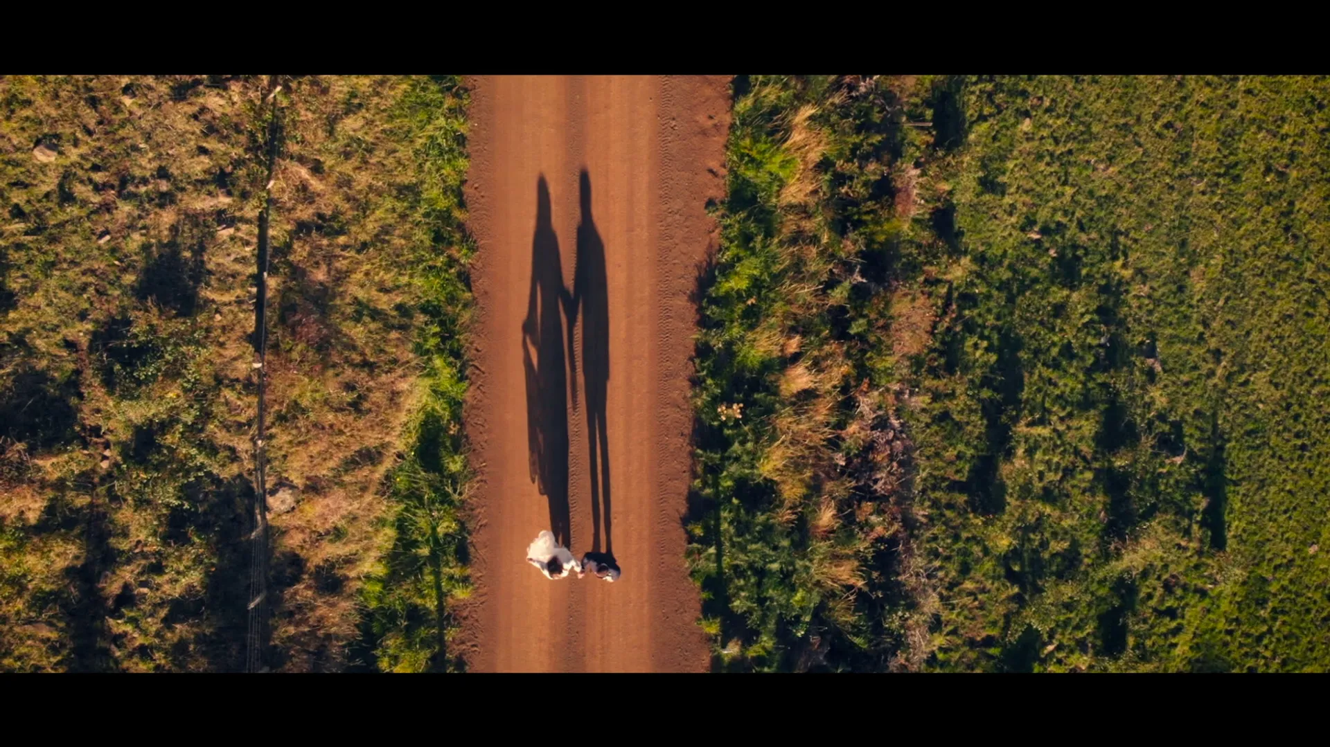 Tasmania wedding landscape